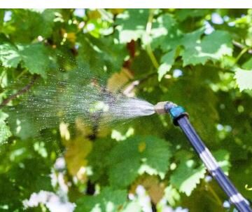 Как правильно разводить фунгицид: практическое руководство для садоводов и аграриев