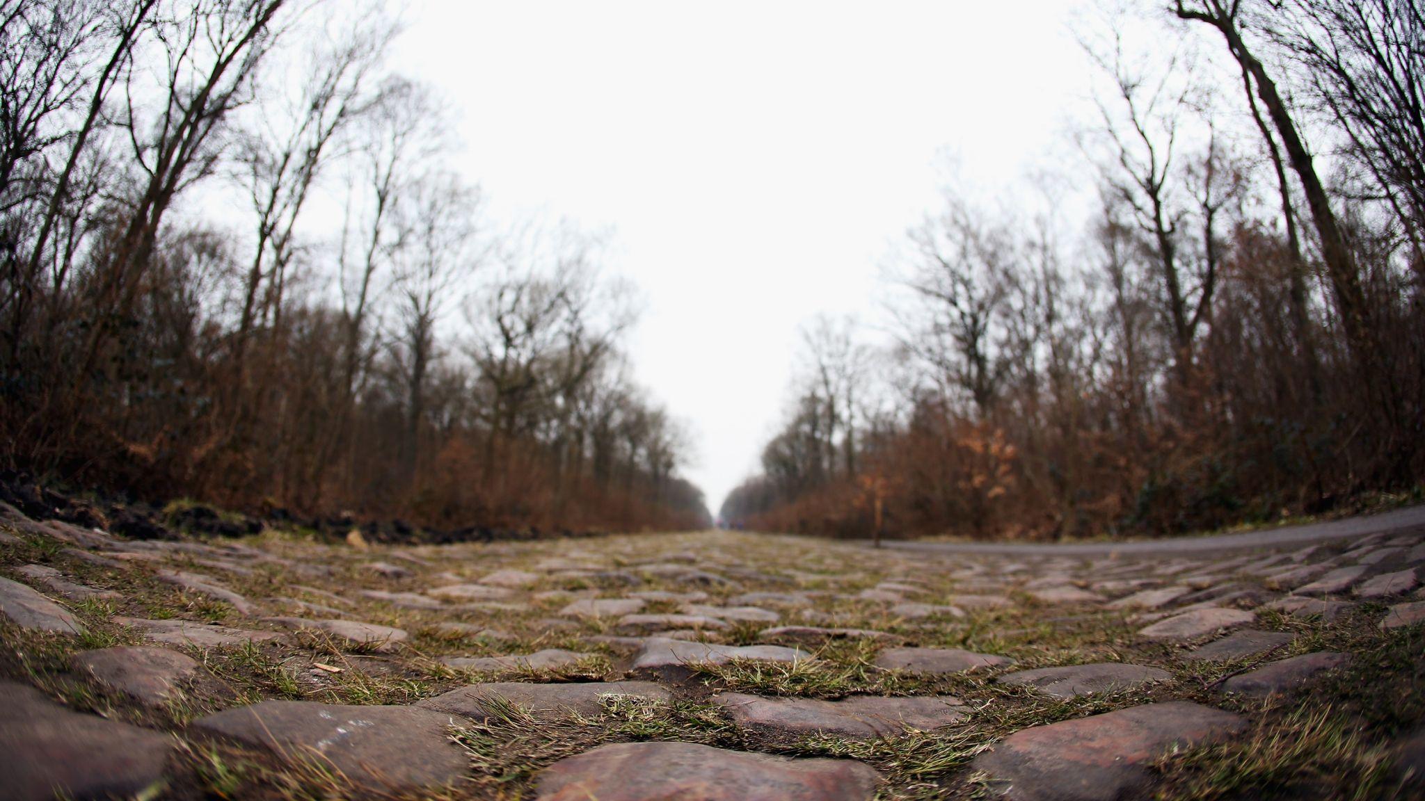 818b6ba8ff182a214a26b0eda3ef24d3