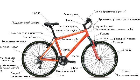 Из чего состоит велосипед