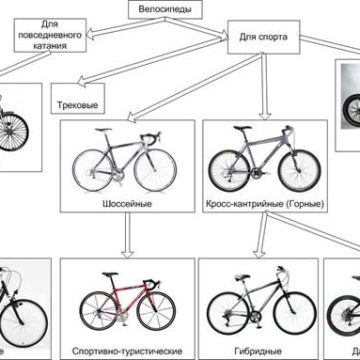 Типы велосипедов (краткий обзор)