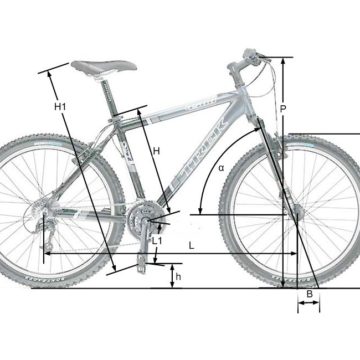 Выбор размера рамы велосипеда