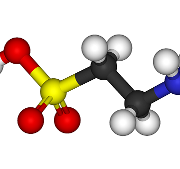 Пищевые добавки для роста мышц и восстановление после тренировки