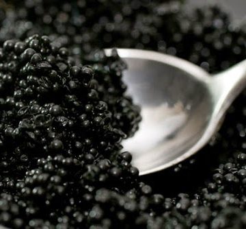 Новое в питании велогонщиков — чёрная икра