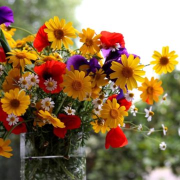 Магазин доставки цветов всегда готов помочь с презентом и поздравлением