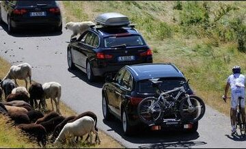 14 Продажа автомобильных багажников