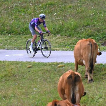 7c874c5954f644bae5a8f71475b62303 Тур де Франс Маршрут изменился из -за больных коров