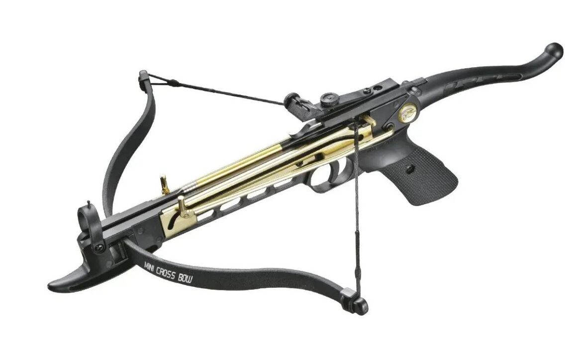 1 Выбор арбалетов и спортивных луков