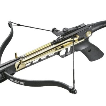 Выбор арбалетов и спортивных луков