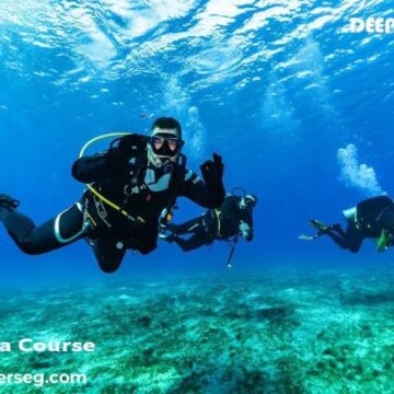 Beyond the Reef: Your Definitive Guide to Unforgettable Dives in Marsa Alam