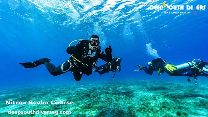 1 Beyond the Reef: Your Definitive Guide to Unforgettable Dives in Marsa Alam