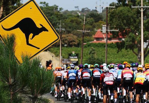 Vine выигрывает Tour Down Under, несмотря на крушение кенгуру