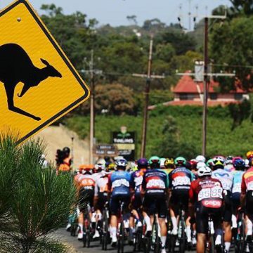 5d73bfe062ff851d8ca547949da29457 Vine выигрывает Tour Down Under, несмотря на крушение кенгуру