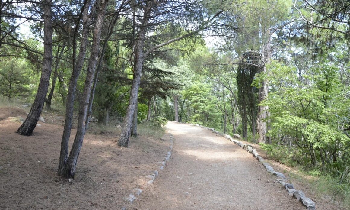 Куда съездить на велосипеде из Ялты: ТОП-3 мест рядом