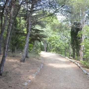 Куда съездить на велосипеде из Ялты: ТОП-3 мест рядом