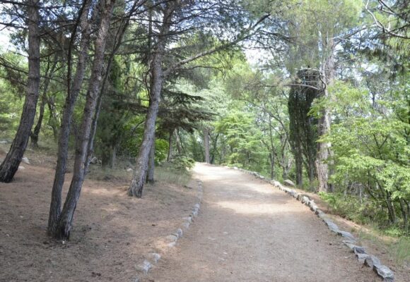 Куда съездить на велосипеде из Ялты: ТОП-3 мест рядом